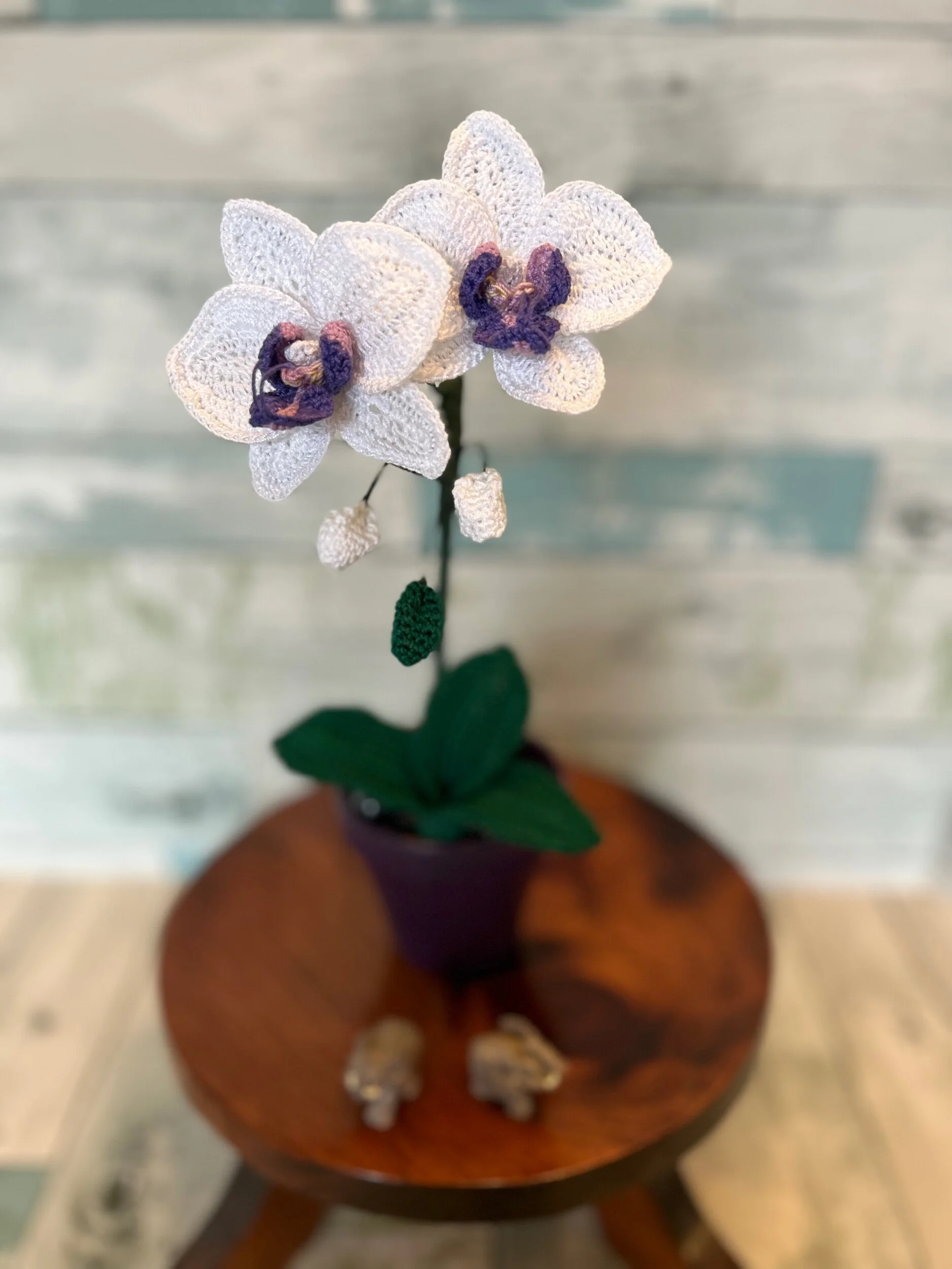 00AACC8E-7166-4C2A-BA70-37A317DDA2F2