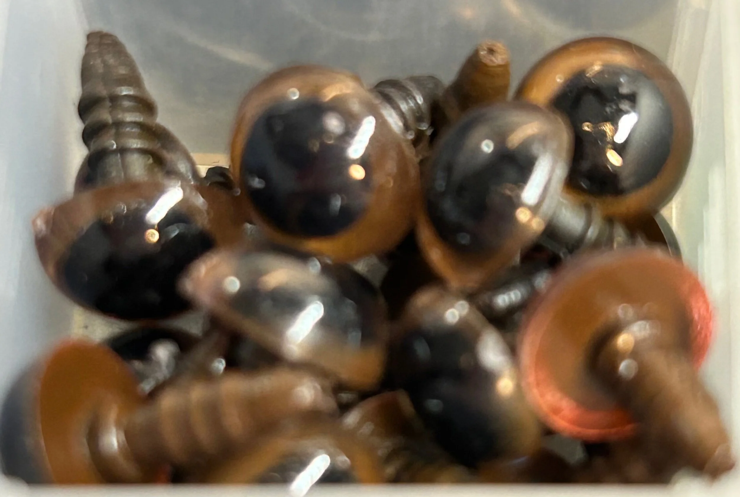 63210F0A-40E6-42A0-9591-0A0E5360177C