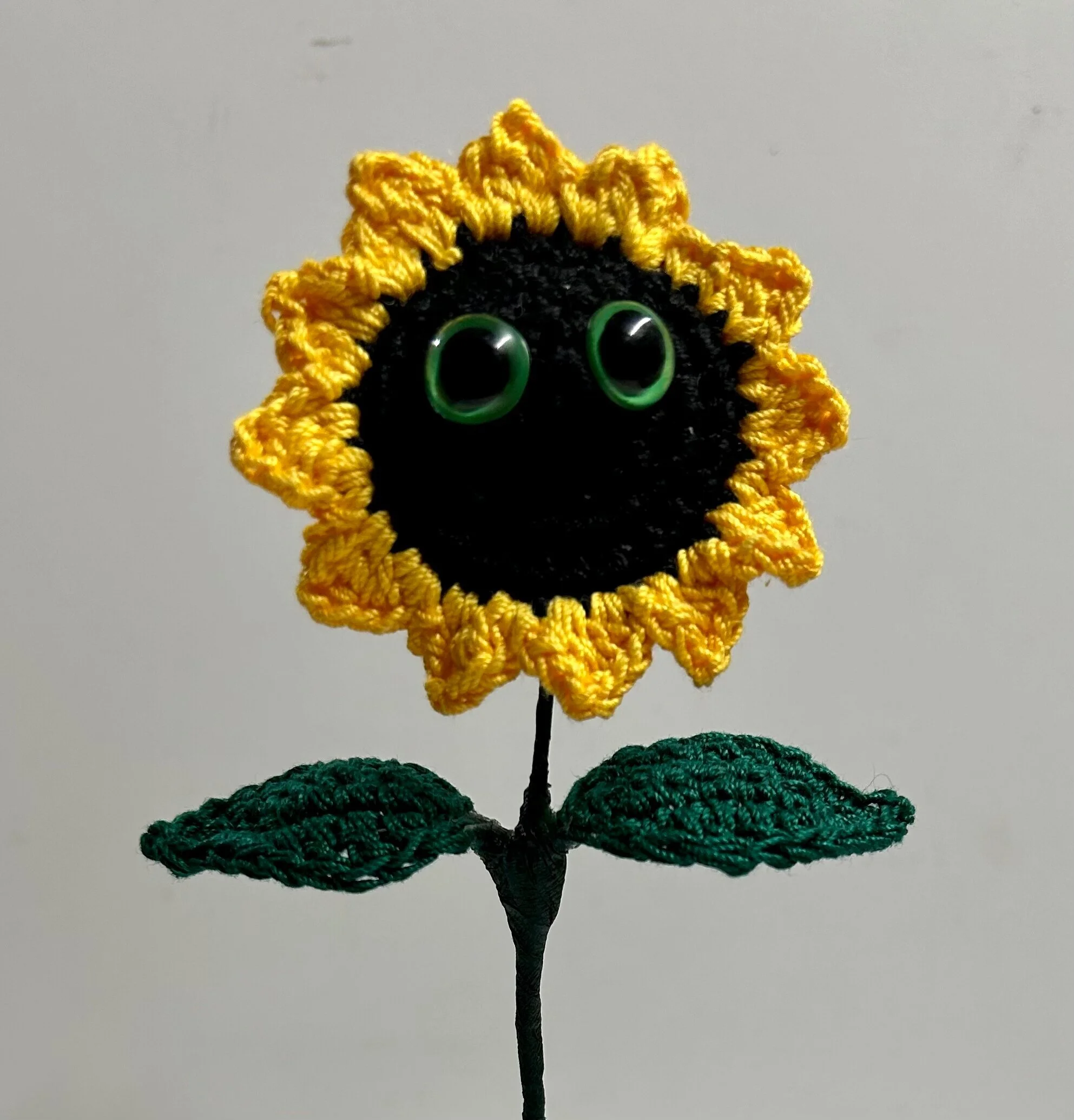 2AD4D631-778F-459C-9DF3-1C88F16A9521