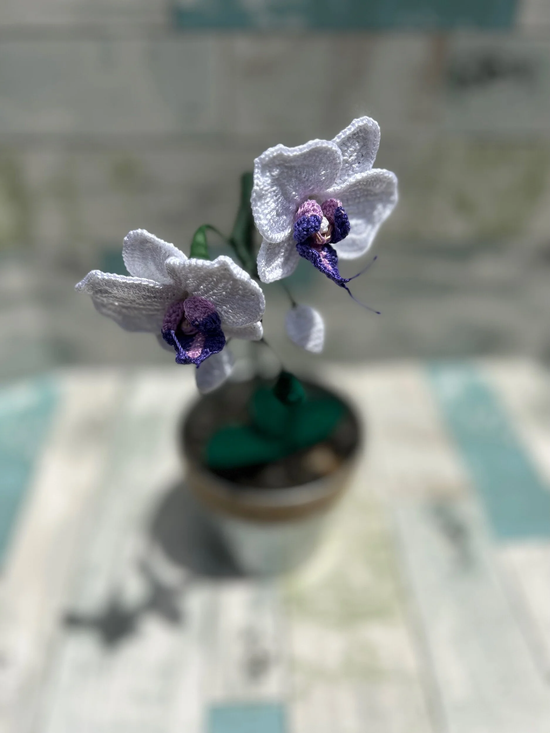 6D5F2117-07F3-4898-A4E2-1D14931AAAED