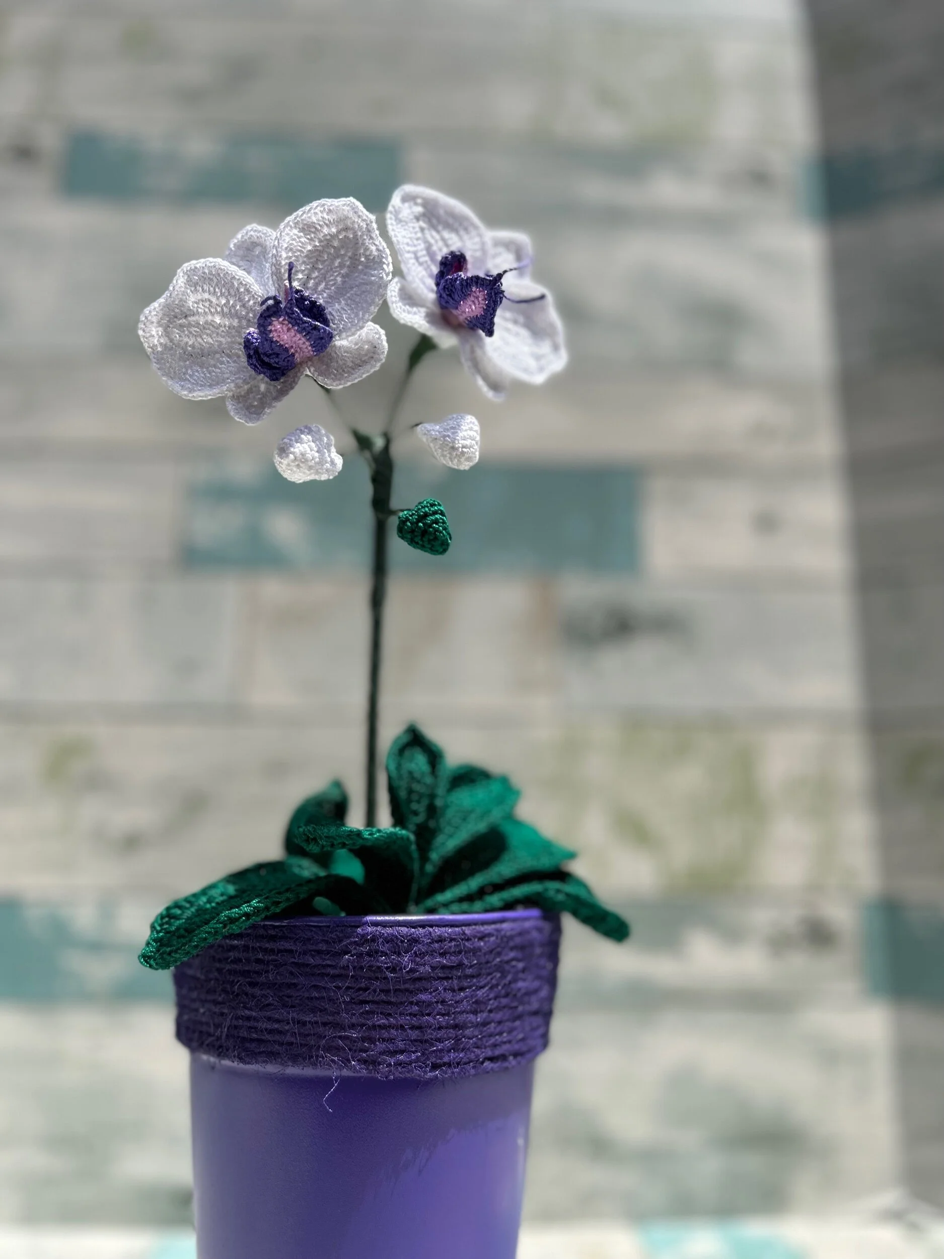 B571E6FA-78D1-4A8C-9810-2A0BCD202044