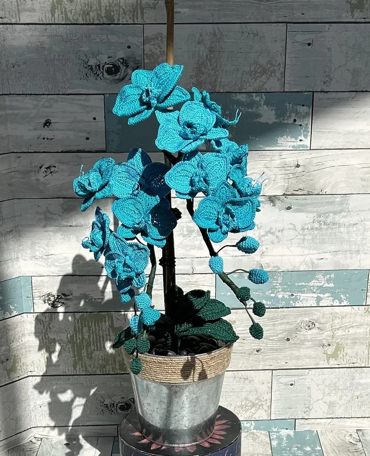 40606239-F2E9-445F-9F9D-2E2DAB579764