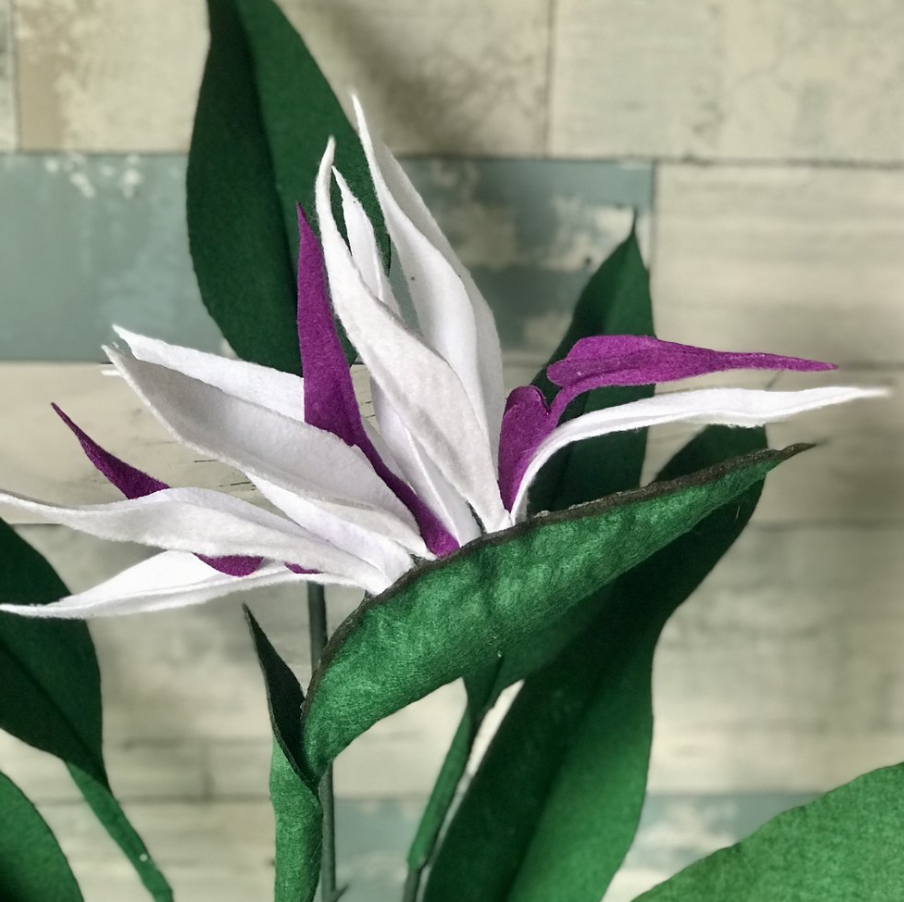 Screenshot 2024-12-02 at 12.47.52 PM.png