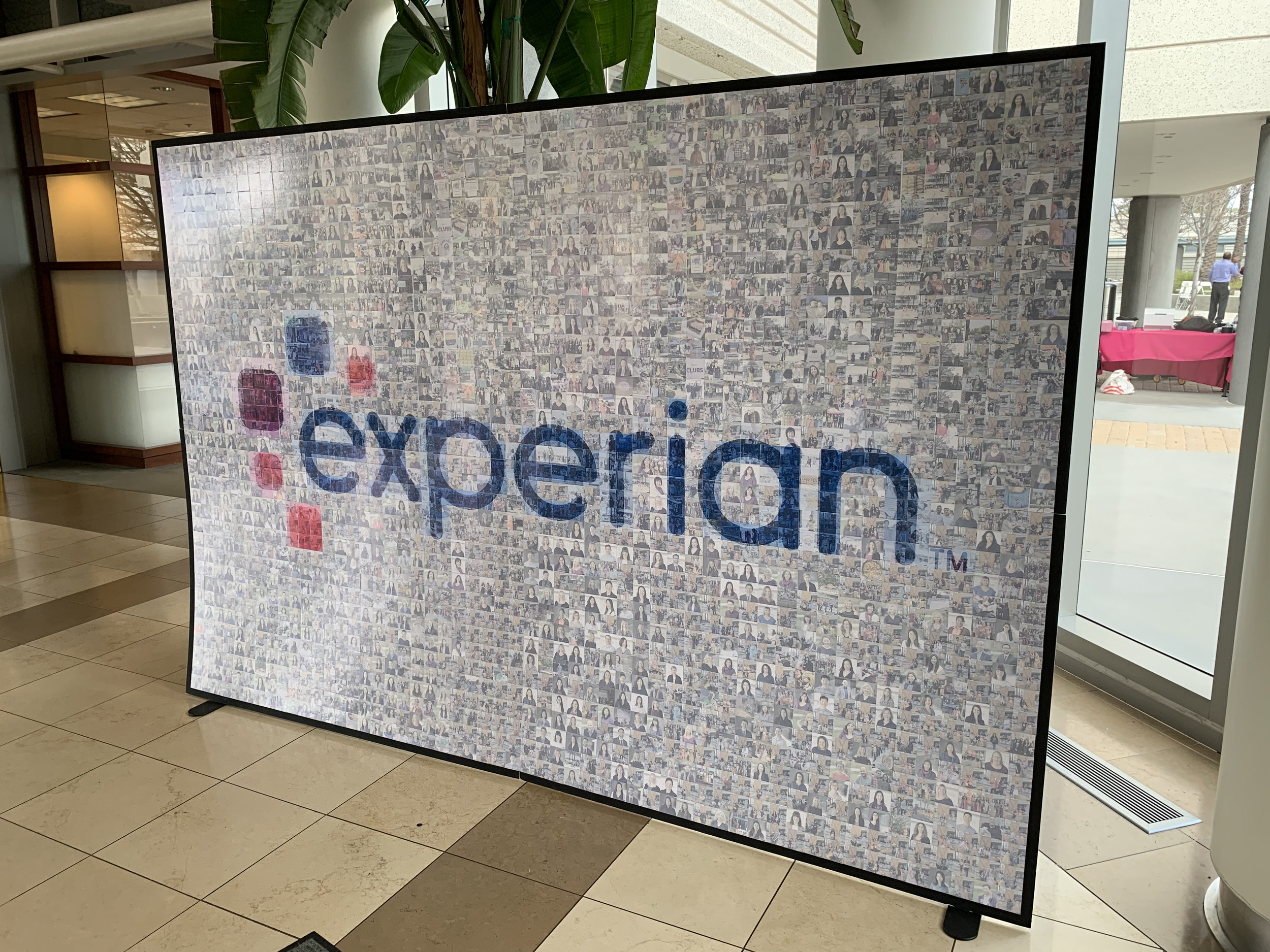 experian mosaic 2.jpg