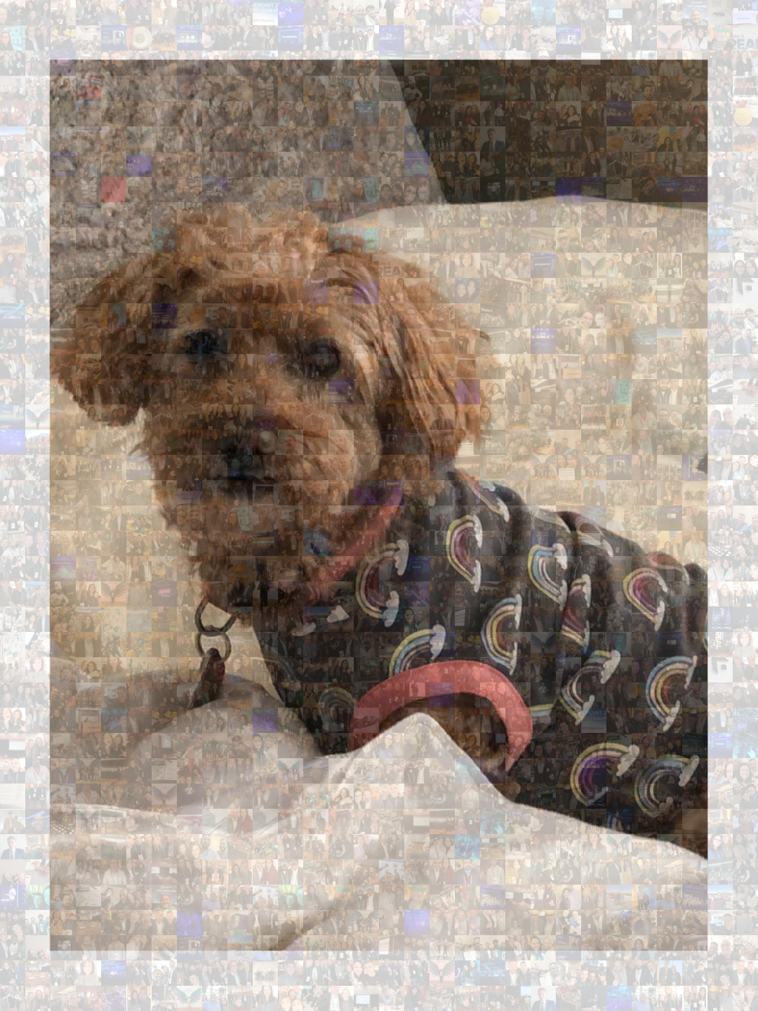 Mosaic_Completed_202003241606.png