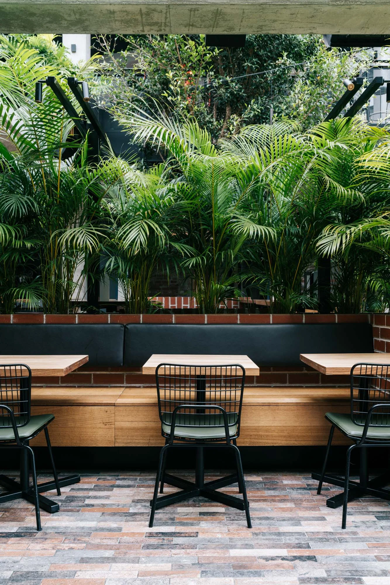 Ayus Botanical_low res-62.jpg