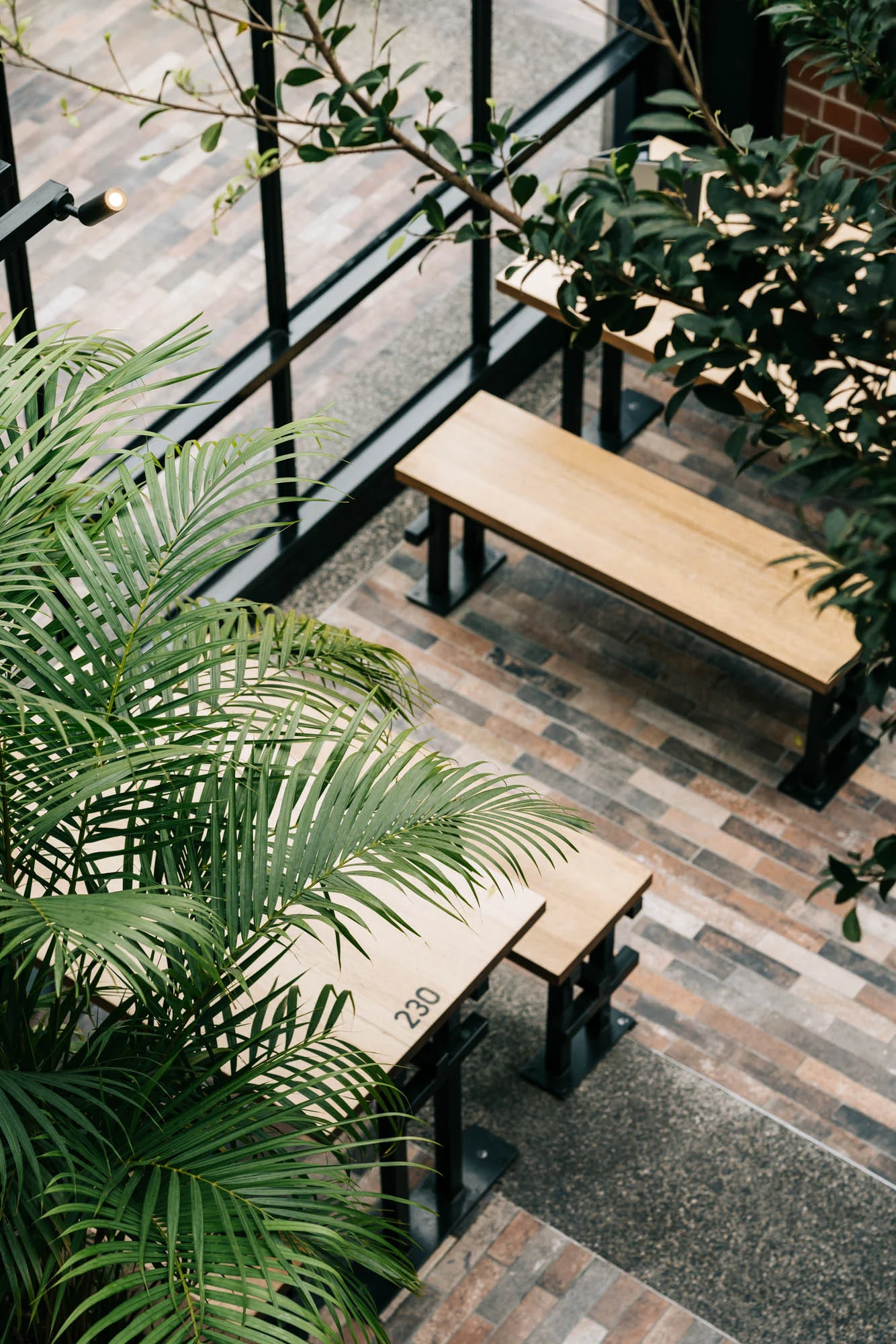 Ayus Botanical_low res-90.jpg