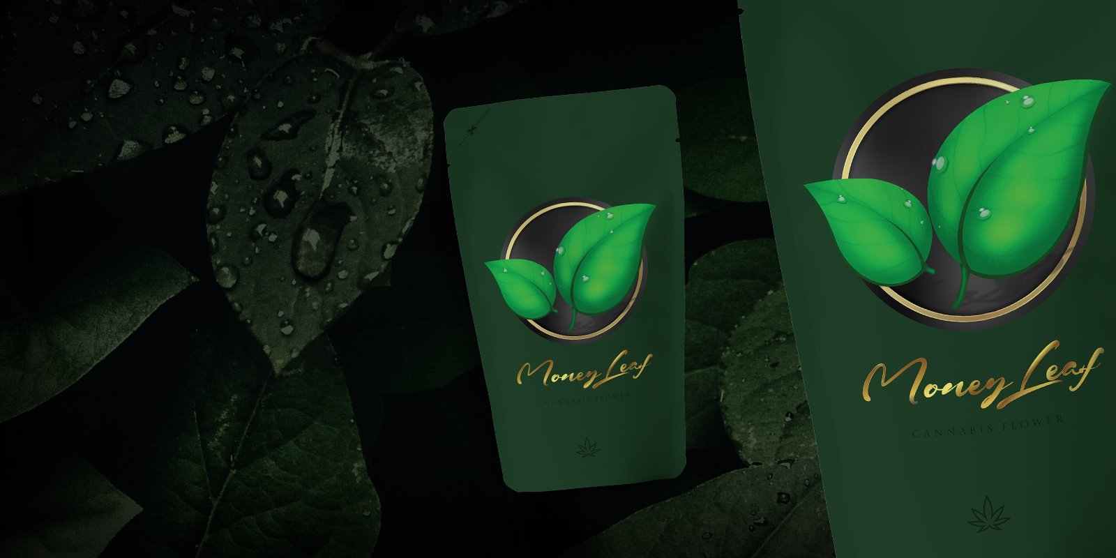 moneyleaft(sitedisplay) SS.jpg