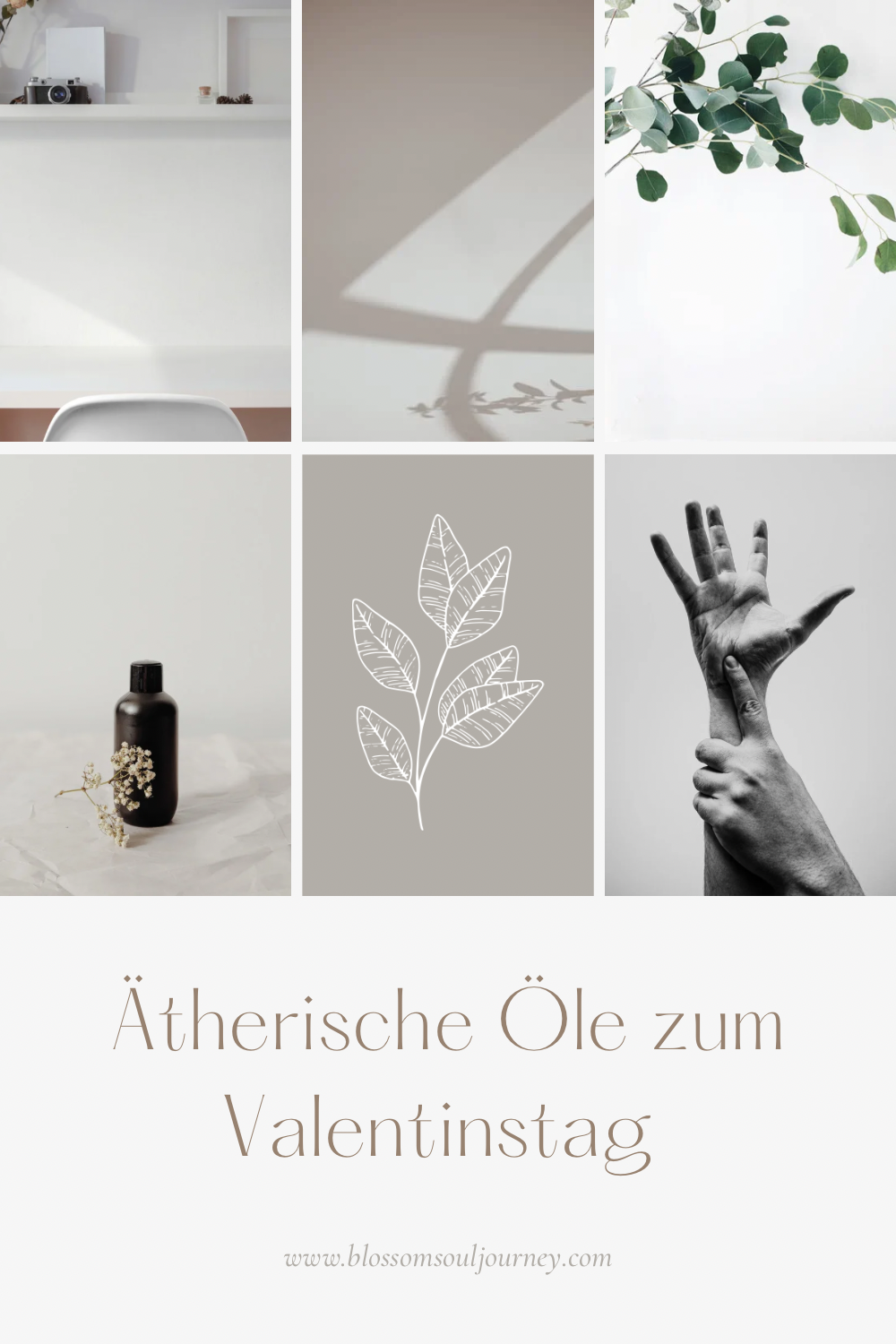Selbstliebe und ätherische Öle welche dich dabei unterstützen können 