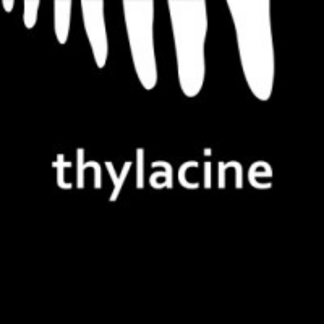 Thylacine Design Studio 