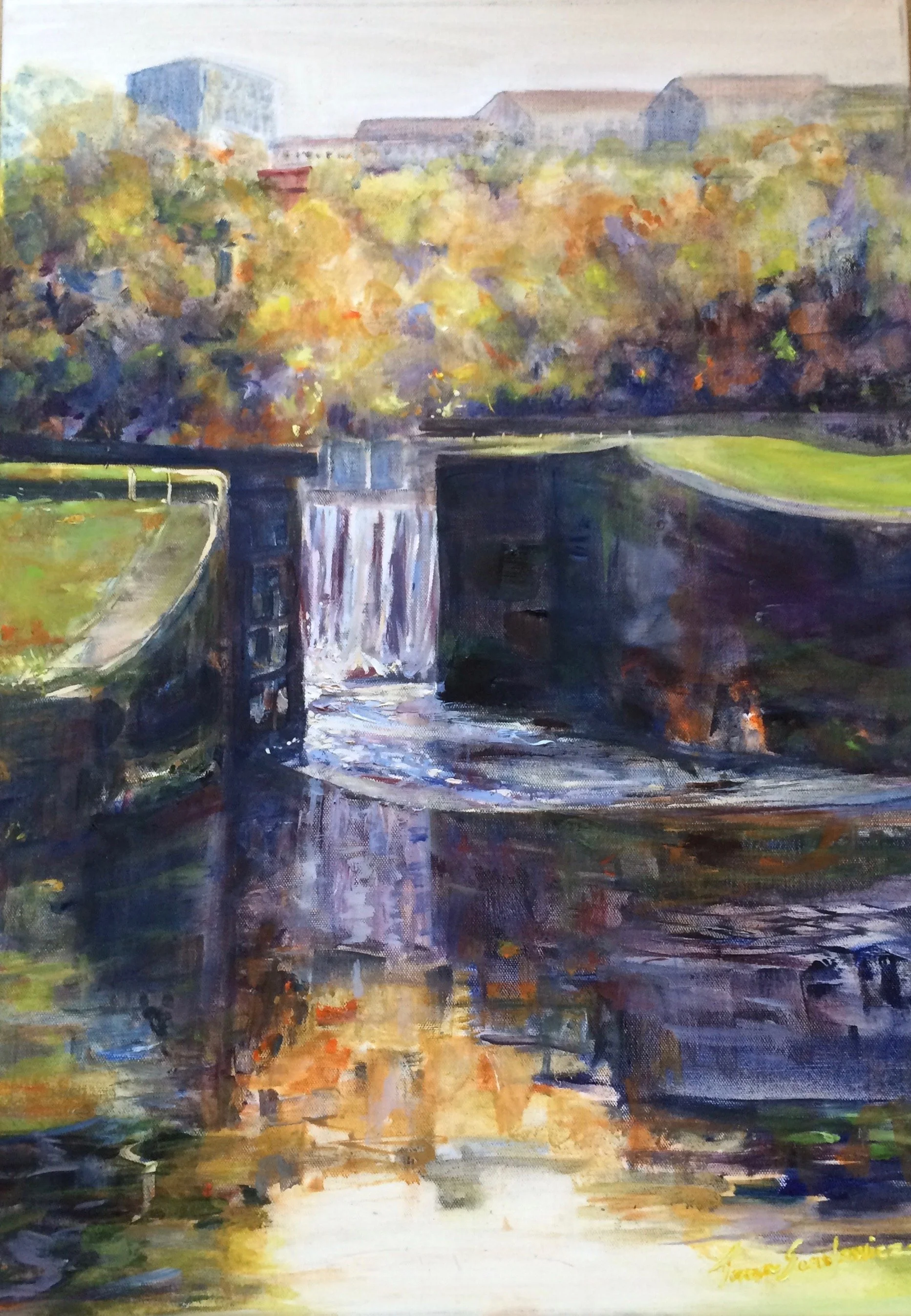  Maryhill Locks. Forth and Clyde Canal.