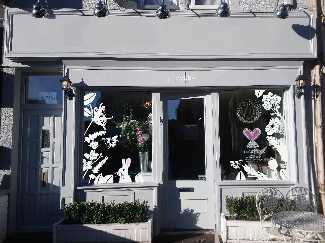 aveda-salon-window-art-procreate-hannah-edwards.jpg