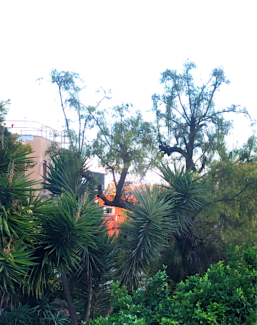 Screen Shot 2021-10-15 at 10.31.43 AM.png