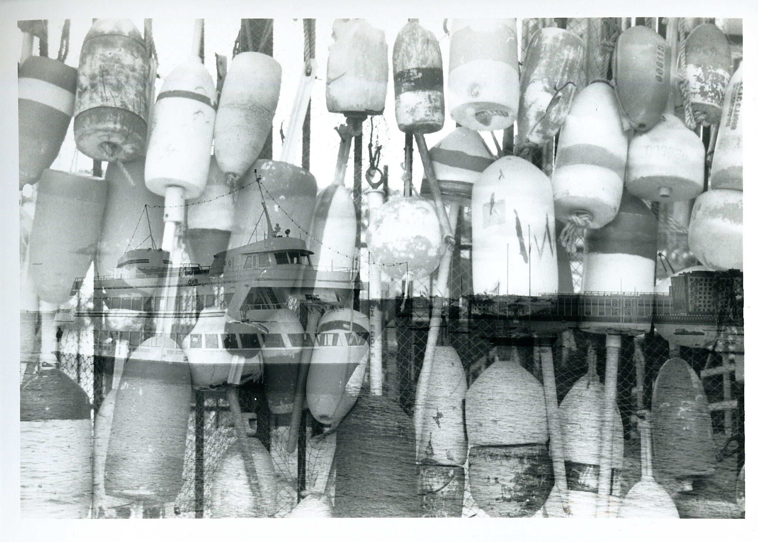 Scan7.jpg