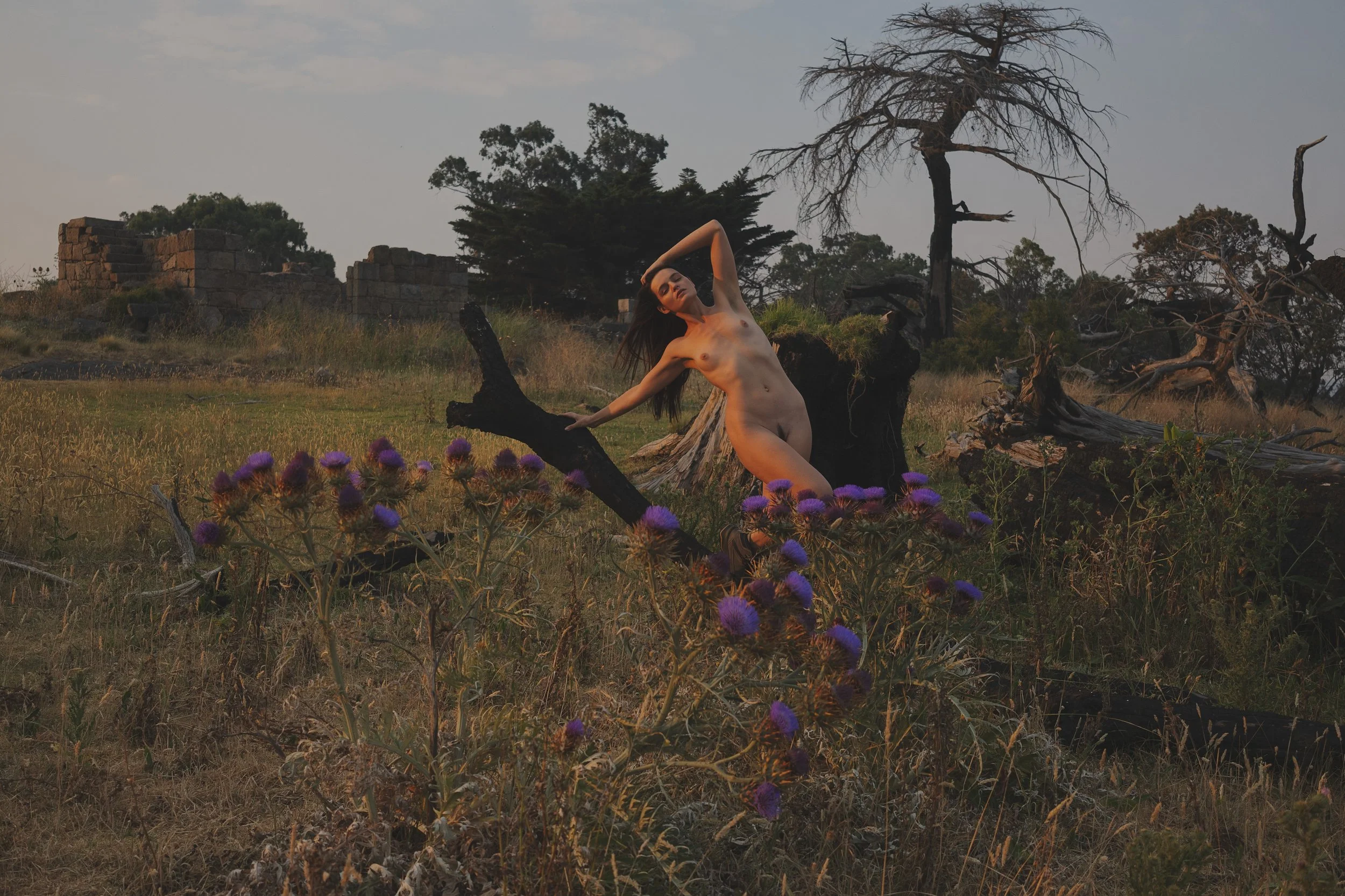 IMG_0011_2-3-Edit ME.jpg