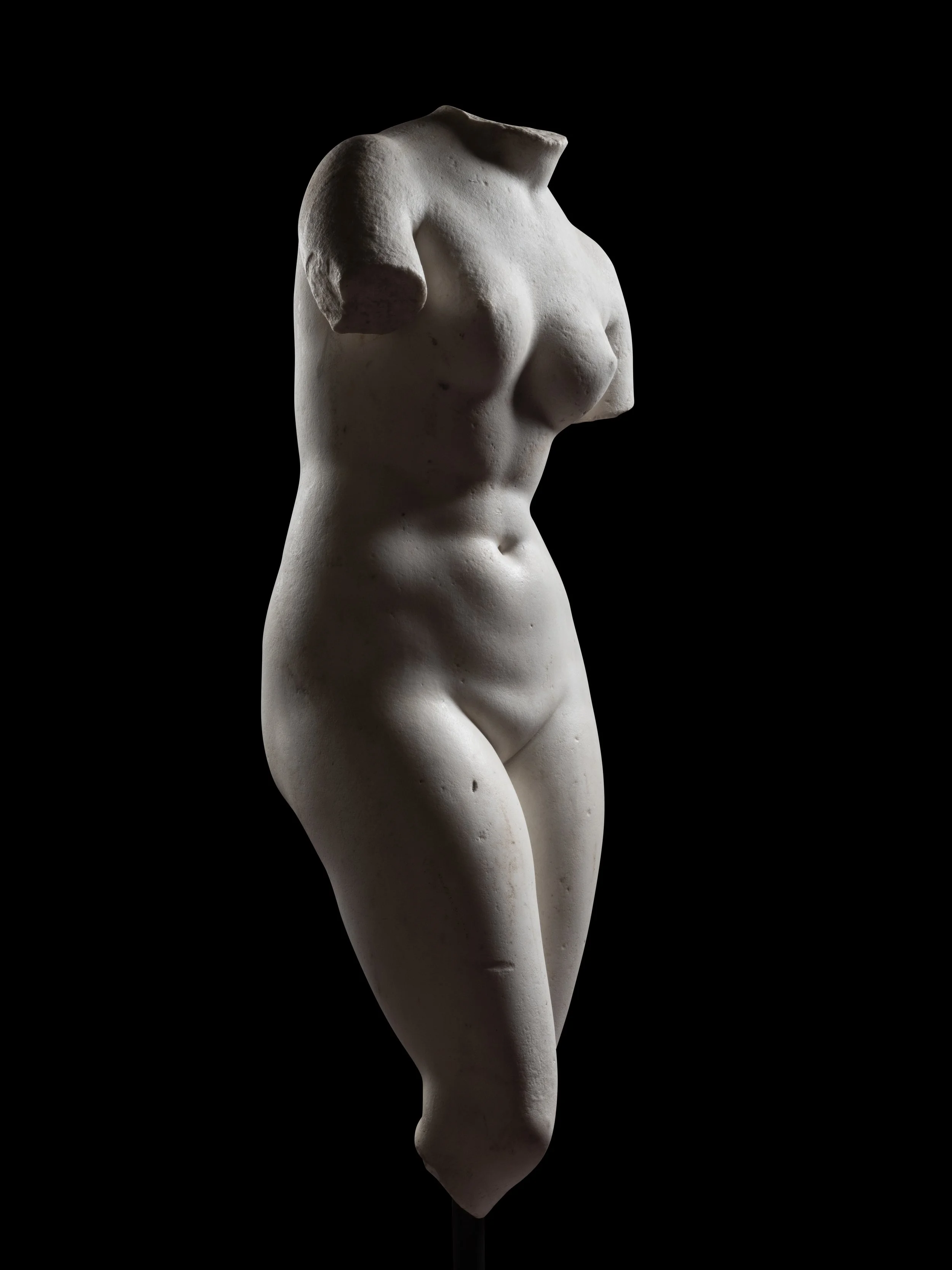 Vénus (grand format) - 650