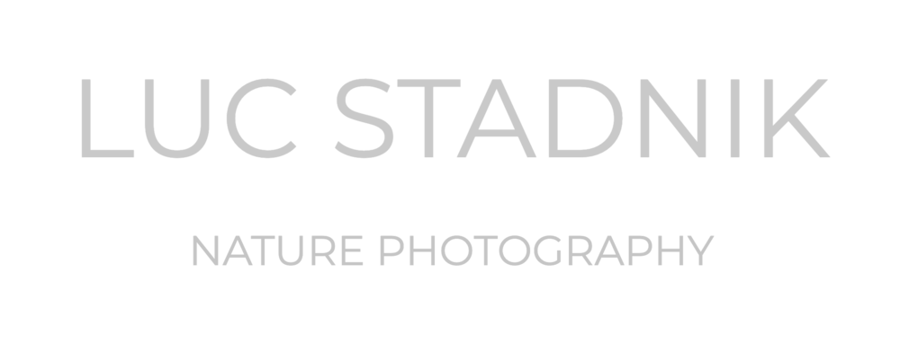 Luc Stadnik - Nature Photography