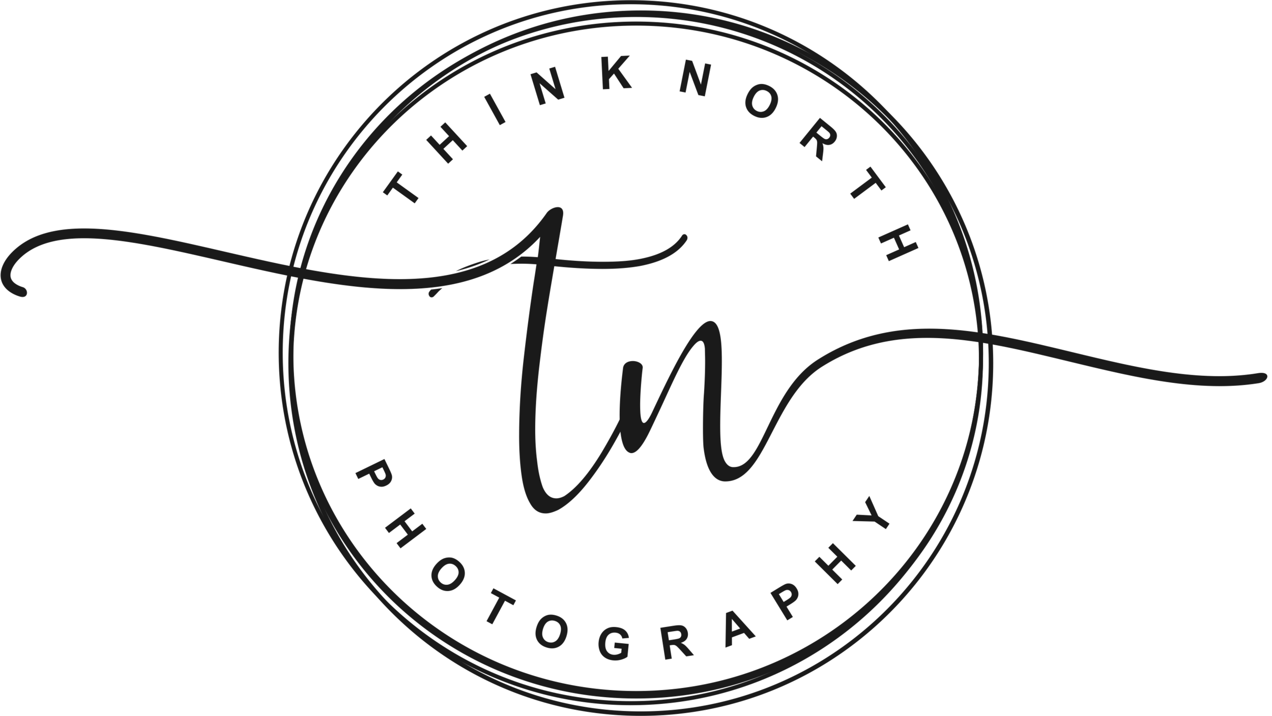 Think North Photography 