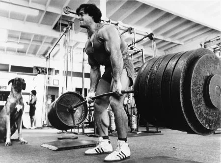 franco-columbu-deadlifting-450x332.jpg