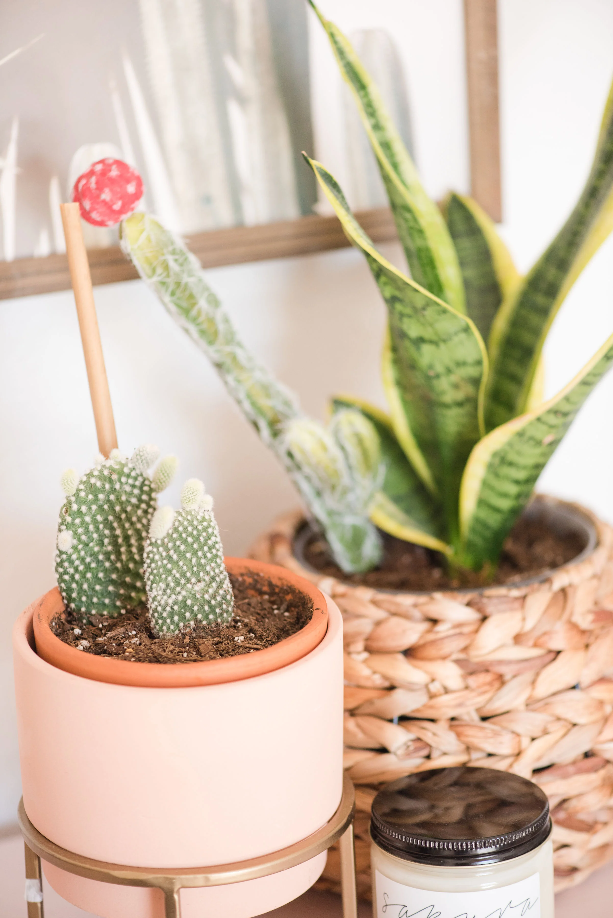 Full Cactus Nursery Reveal — Two Babes & A Bundle