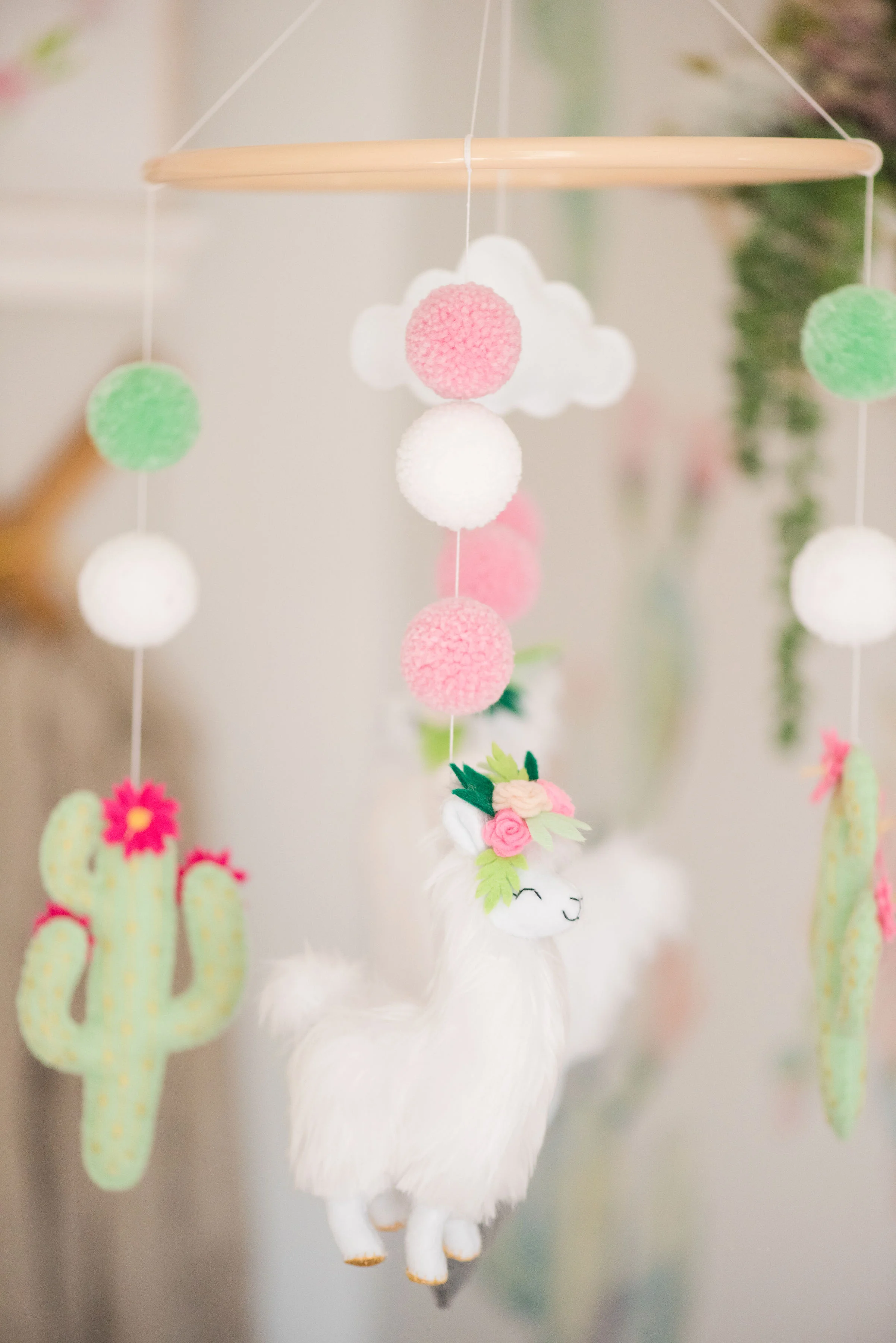 Full Cactus Nursery Reveal — Two Babes & A Bundle