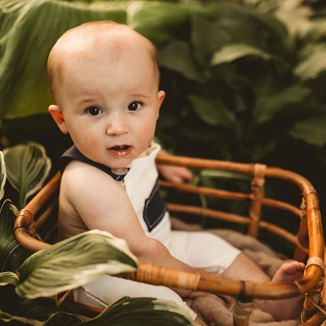 One of my precious newborn graduates is 6 months old!🌿
.
.
#dearphotographer #minnesotaphotographer #familyphotographer #nature #emilyannephotography