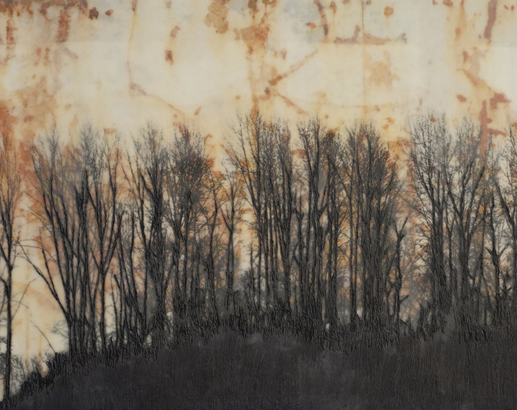 The+Grove+at+Dusk+16x20.jpg