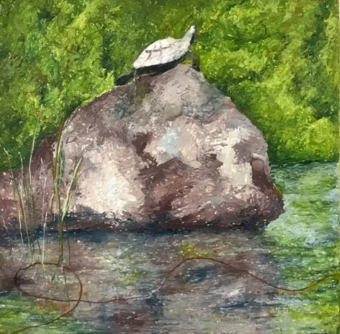 said the turtle.jpeg