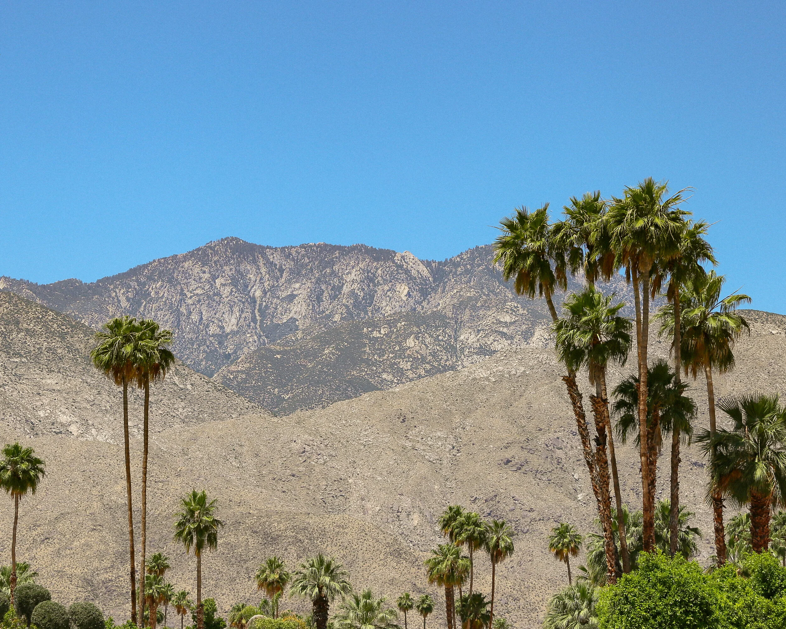 Palm Springs TEST