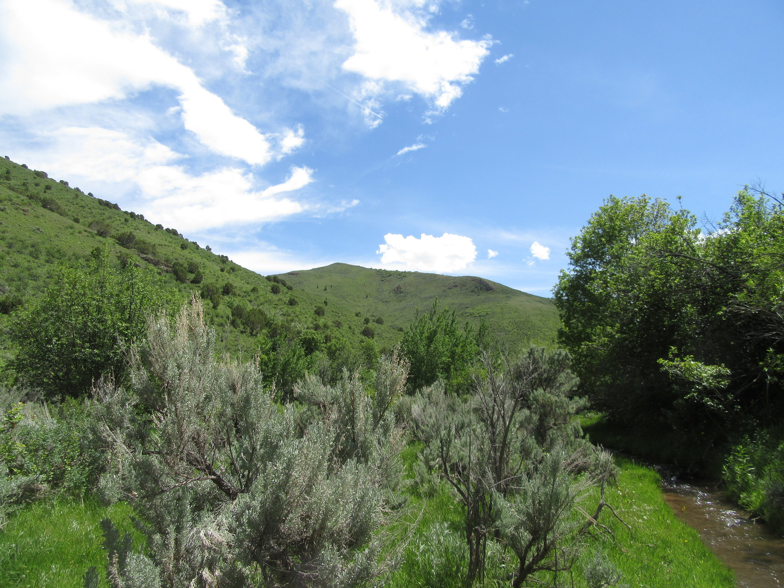 Working Lands Conservation to present at the United Nations 68th Civil Society Conference