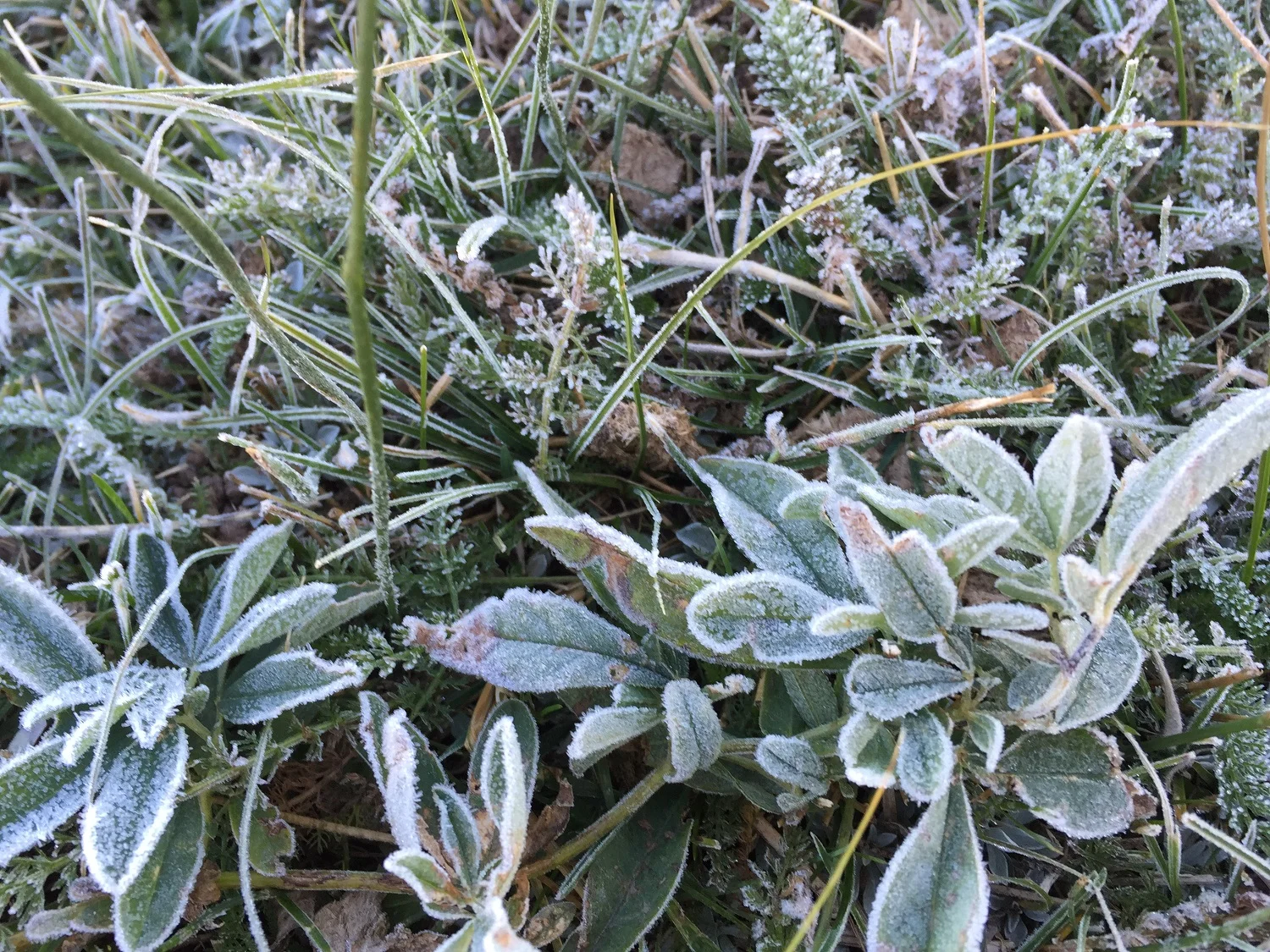 Updates from the field