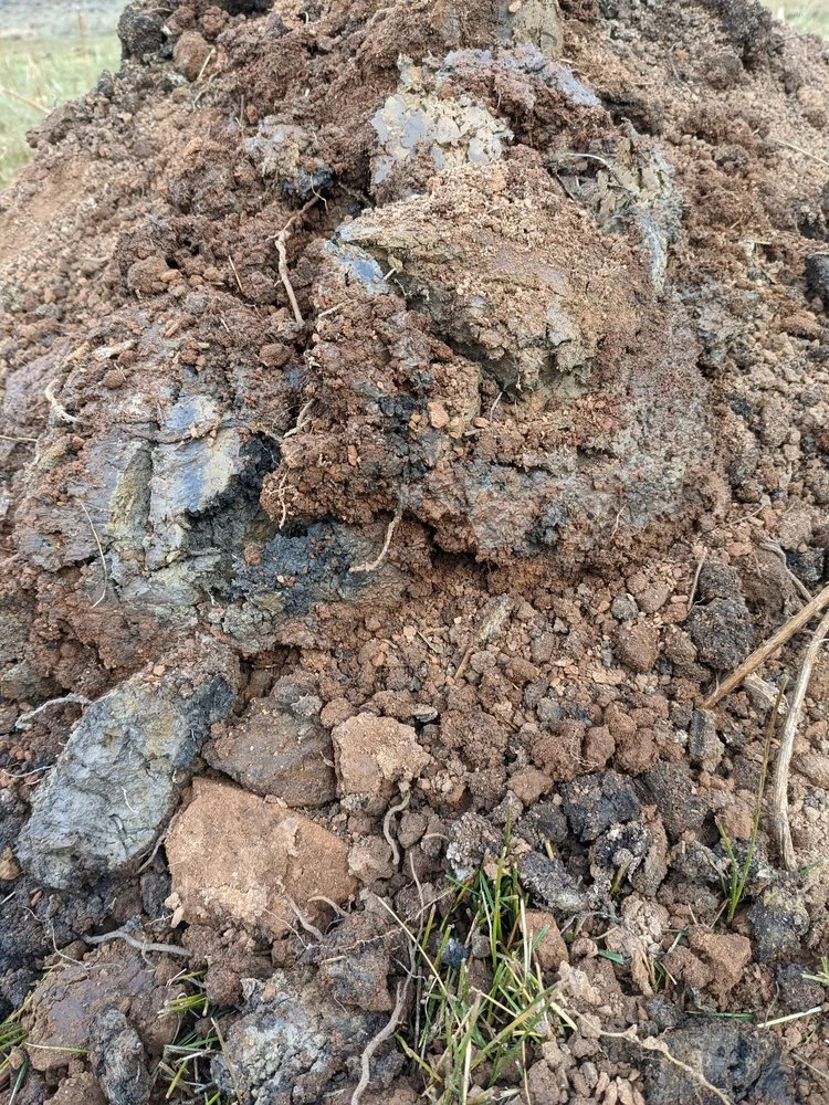 The Magic of Soil &amp; Why We Study It