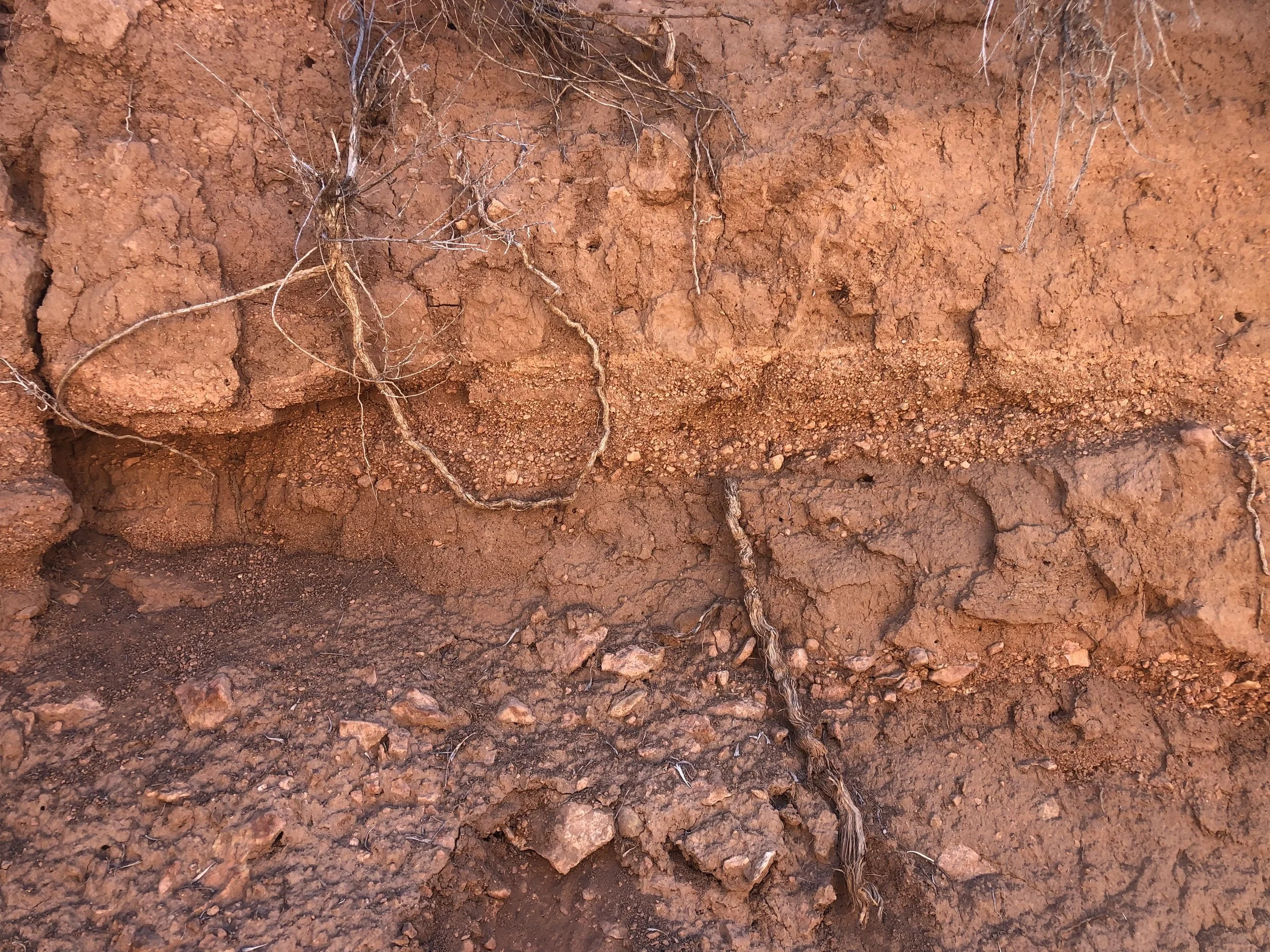Our Soils Program Has Officially Launched!