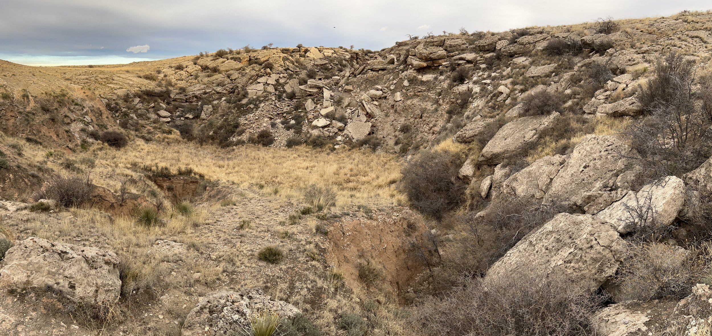 The New Mexico Rangeland Enhancement Project