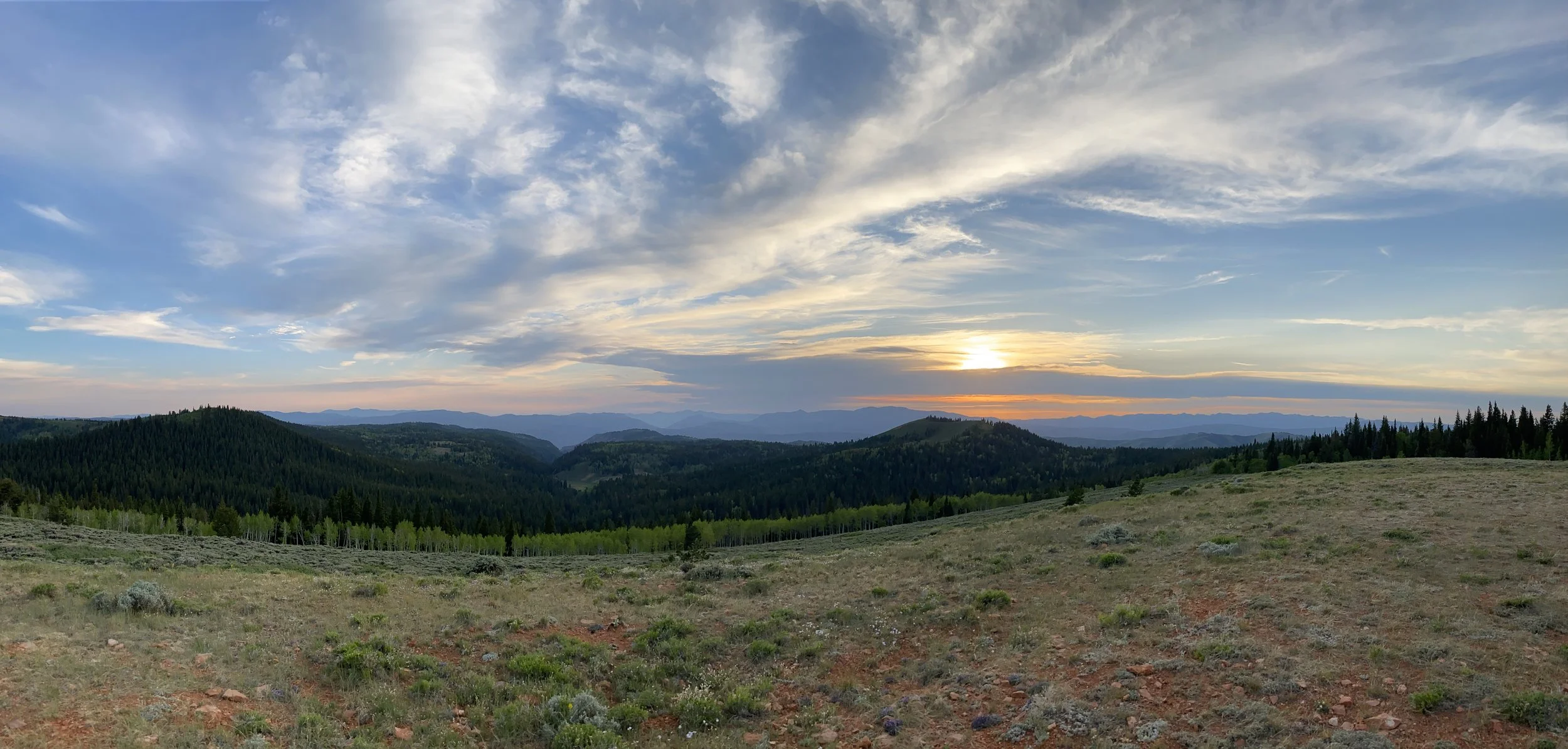 Meet the 2023 Field Crew