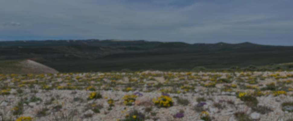 website banners (2).png