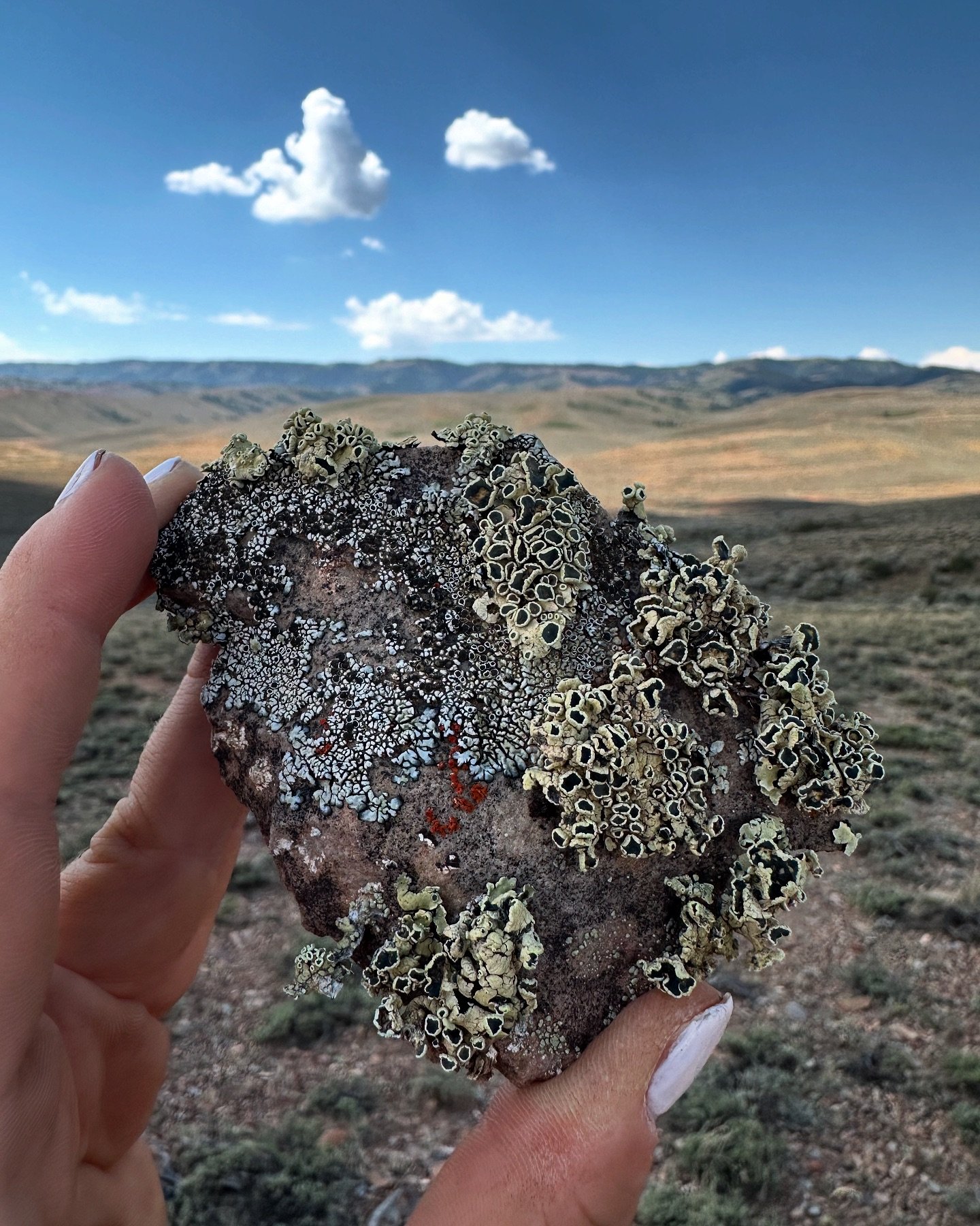 Sometimes, it&rsquo;s the stuff right under your feet that can blow you away&hellip; We found this treasure while collecting soil samples in Northern Utah. It&rsquo;s a great reminder of the complexities of the ecosystems we work in.