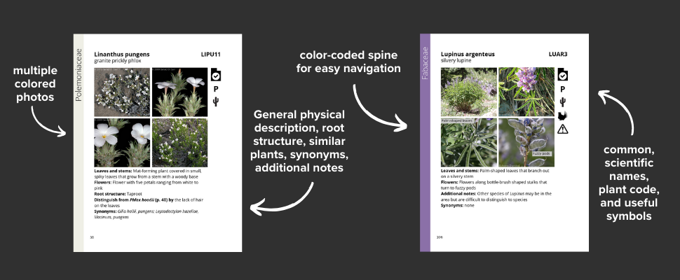 Cronan Ranch Plant Identification Guide Worksheet.pdf Plant Guide — Working Lands Conservation
