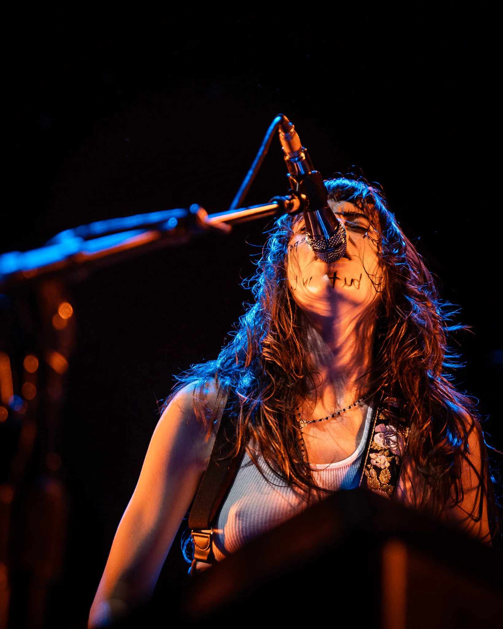 LeButcherettes_ACLLive_20NOV19_JRabin-32.jpg