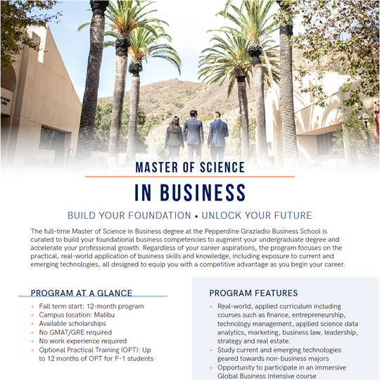 MS IN BUSINESS FLYER
