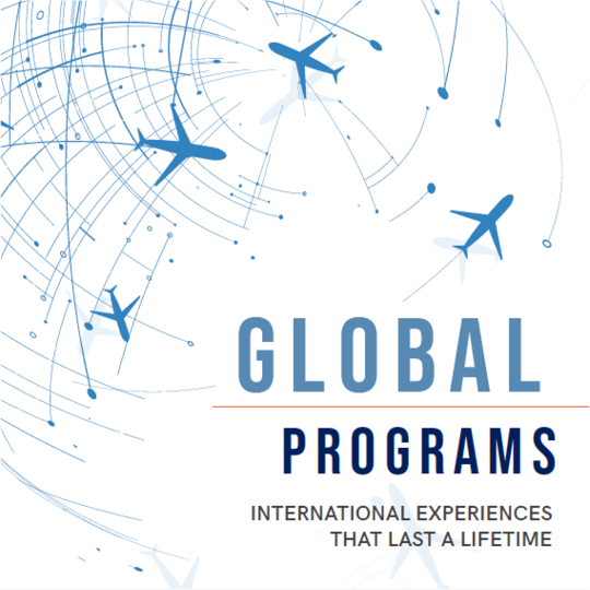 GLOBAL PROGRAM ROLL UP