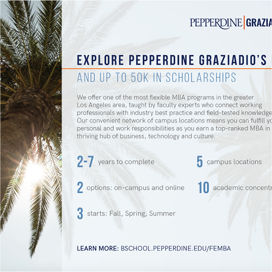 SPECIAL SCHOLARSHIP FLYER