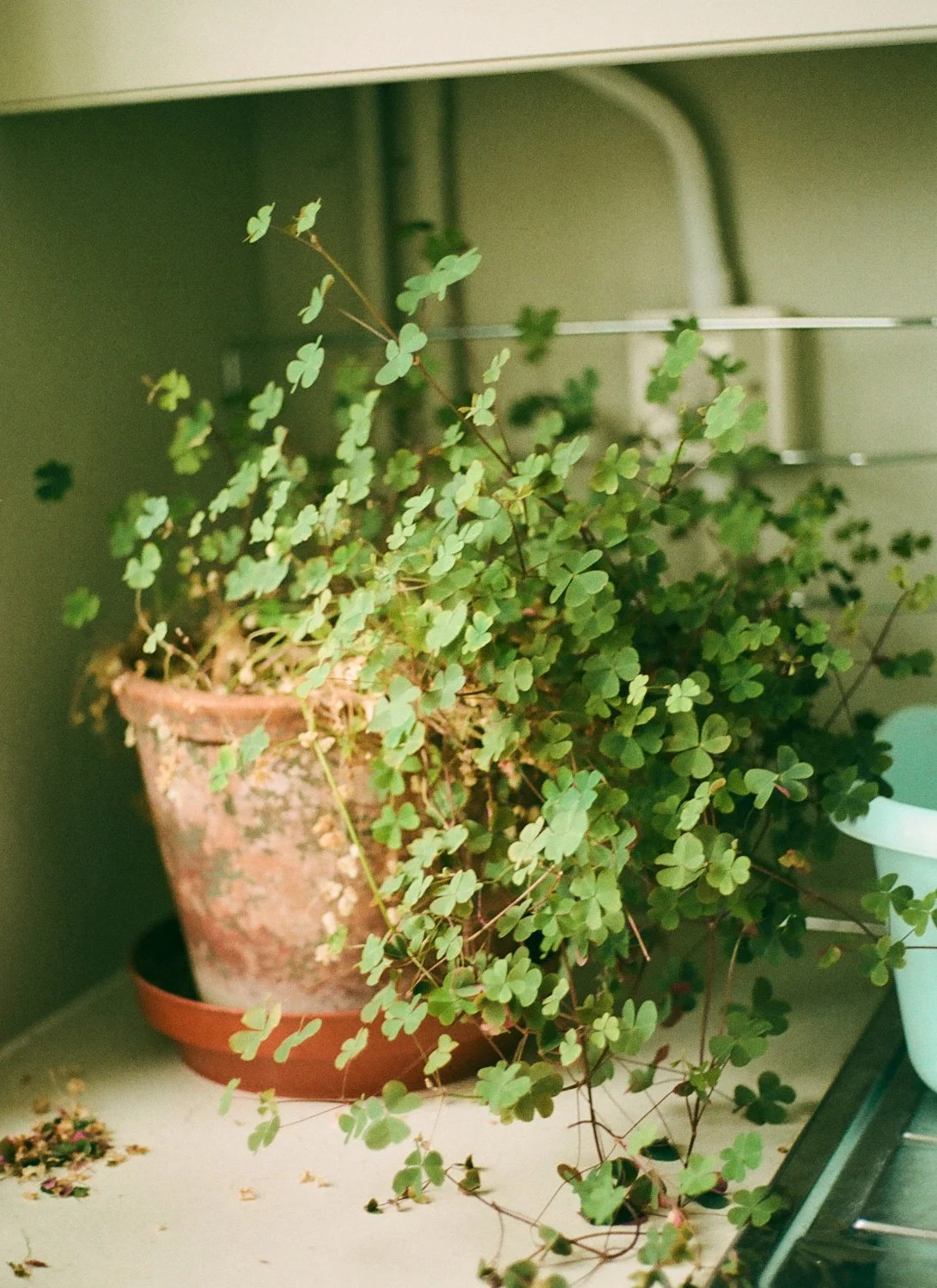 eoin film shots 23 - 14.jpg