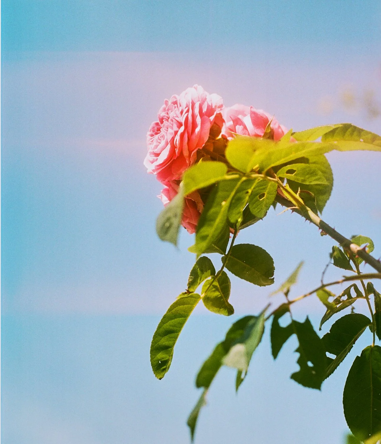 porfolio example - eoin greally (12).jpg