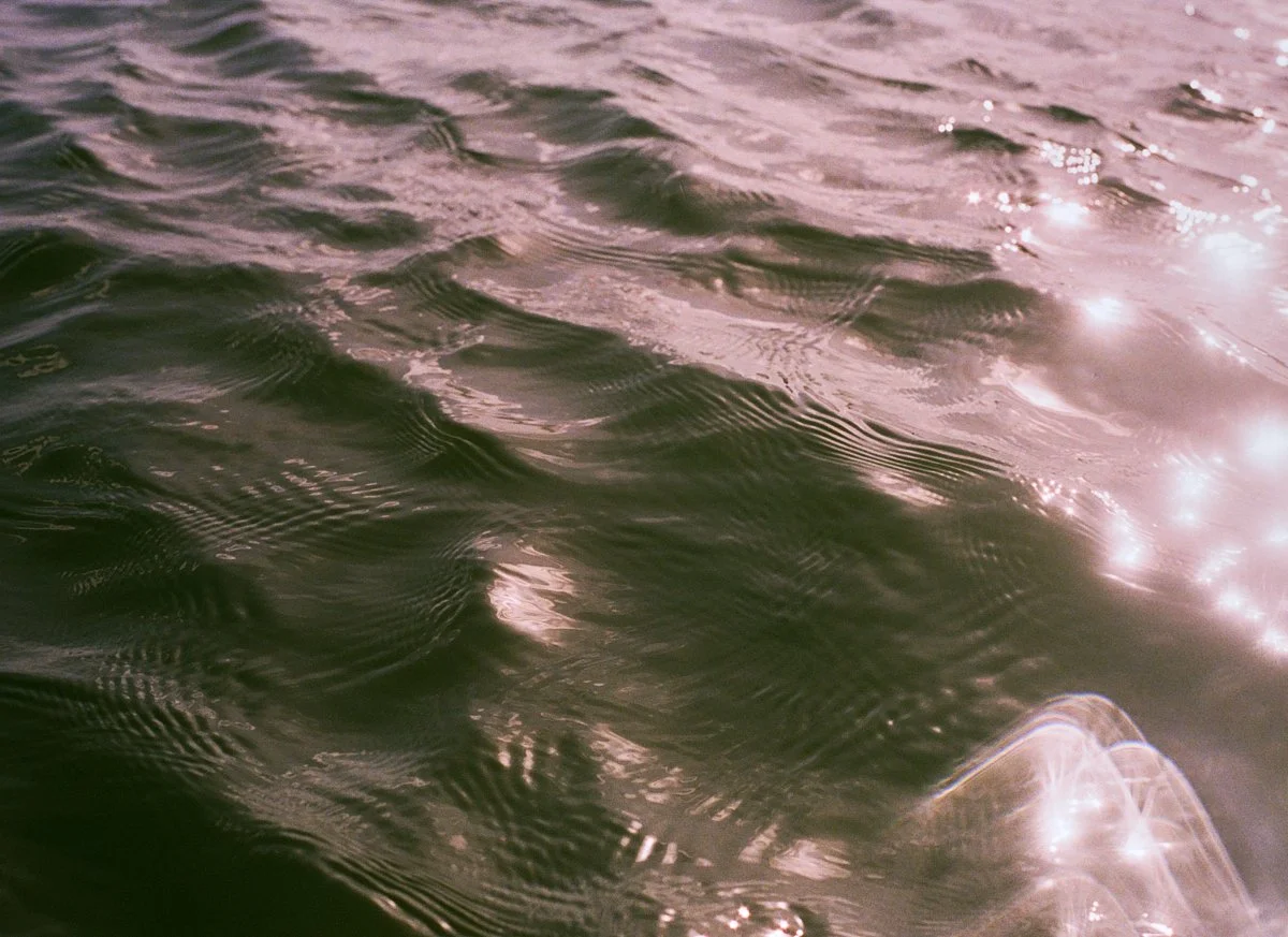 swimmer shots-84.jpg