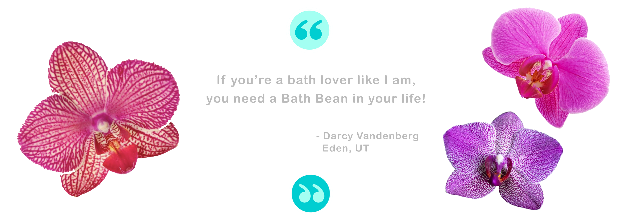 BB Banner Format Quote Darcy.png