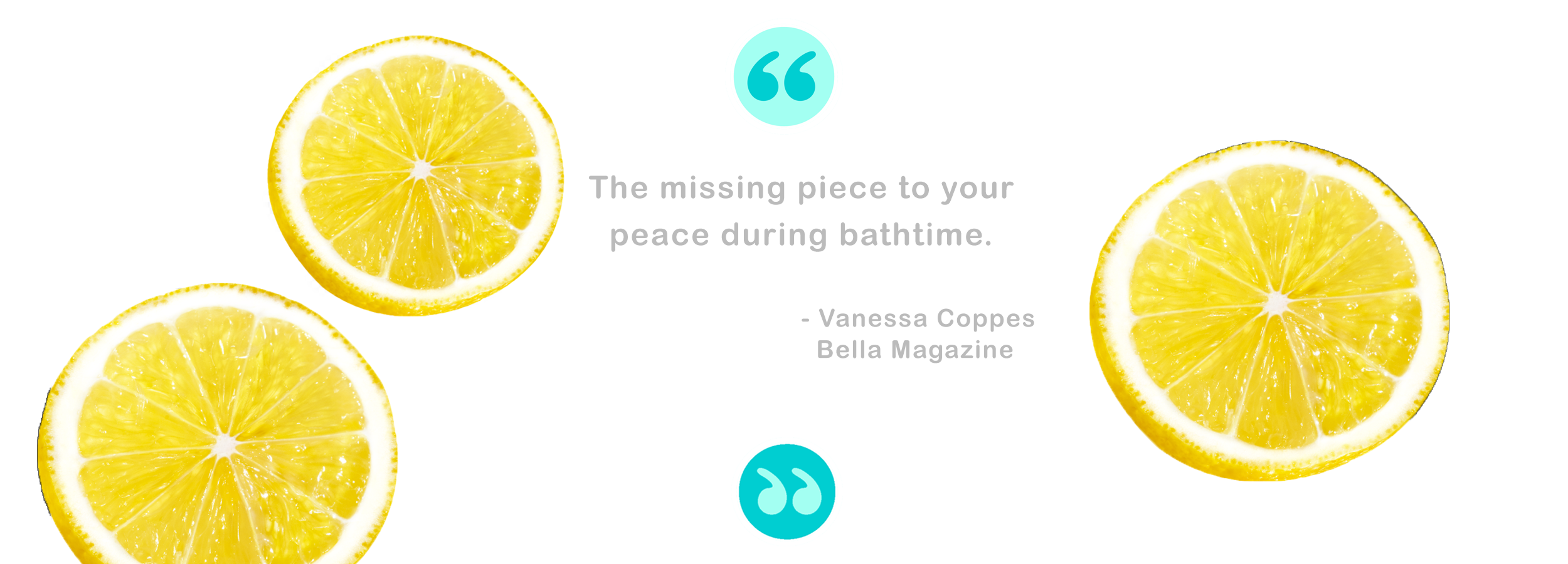 BB Banner Format Quote Vanessa.png