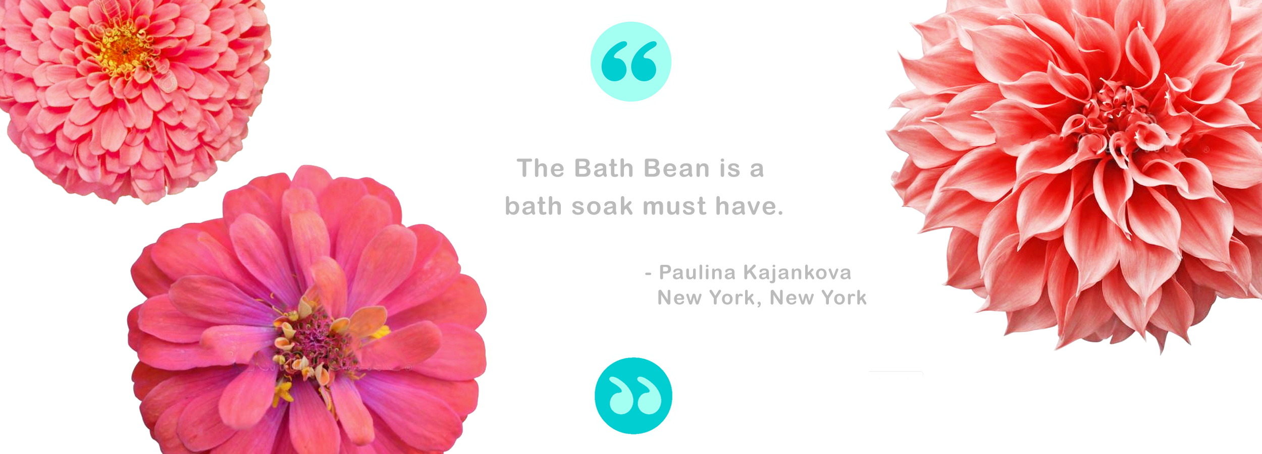 BB Banner Format Quote Paulina.png