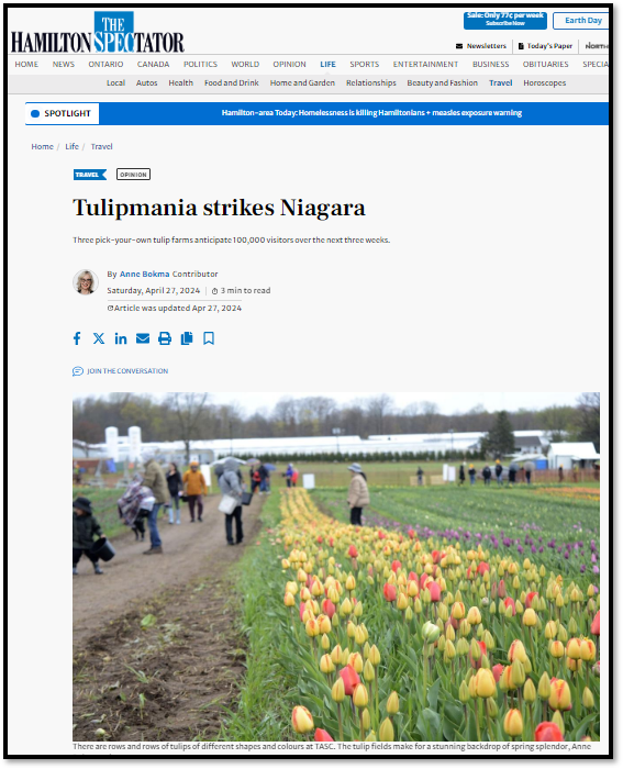 Niagara Tulips.png