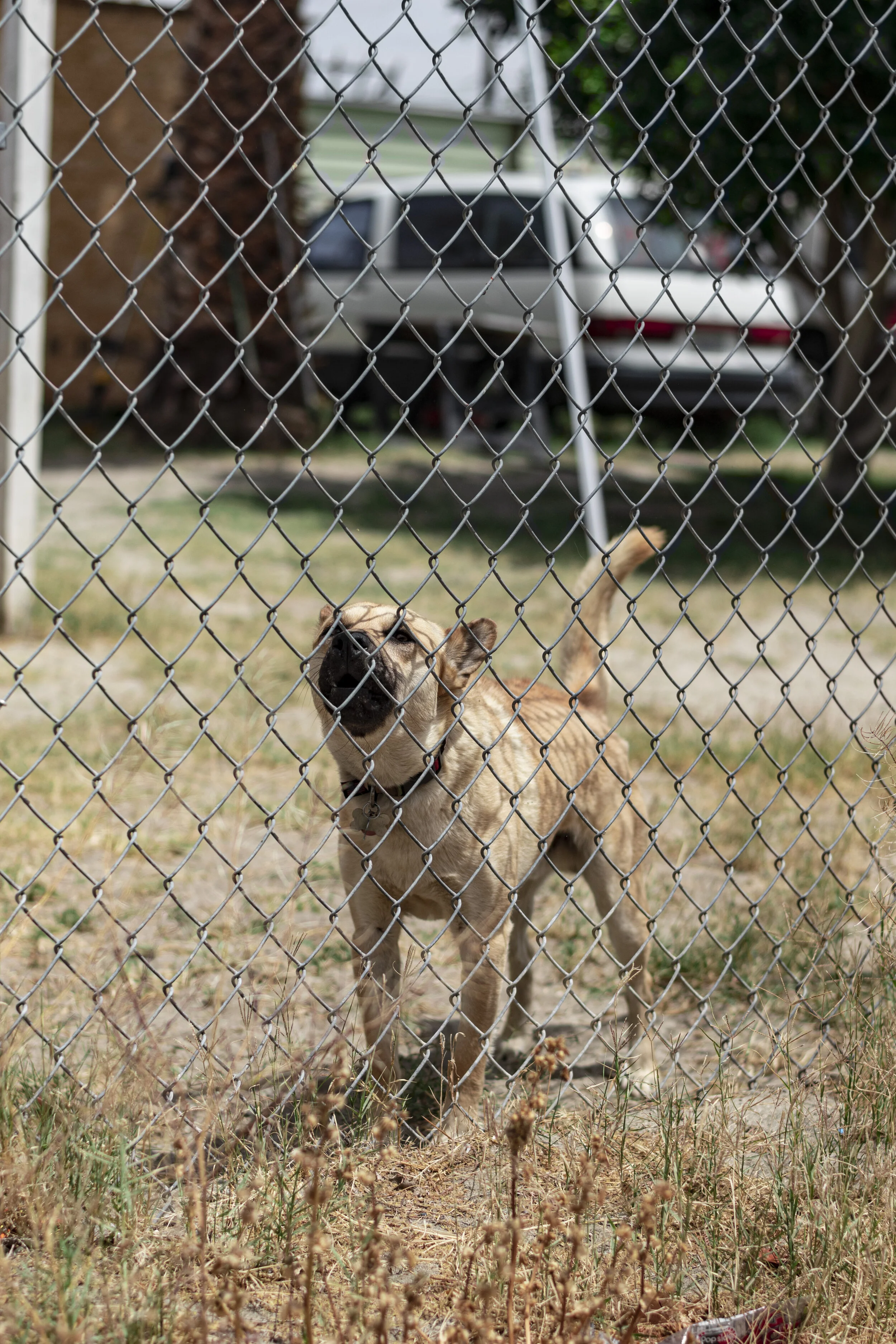 DSC_7898.jpg